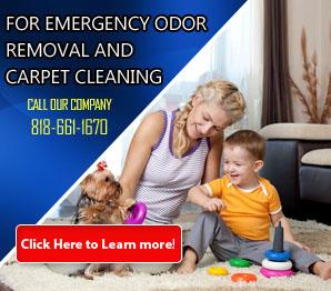 Professional Stain Removal - Carpet Cleaning Northridge, CA